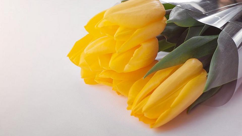bouquet-canva-tulips-yellow
