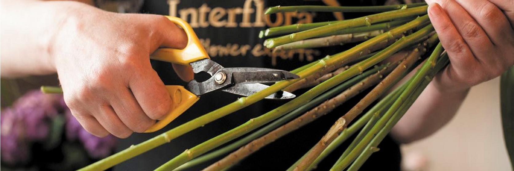 caring-for-your-gift