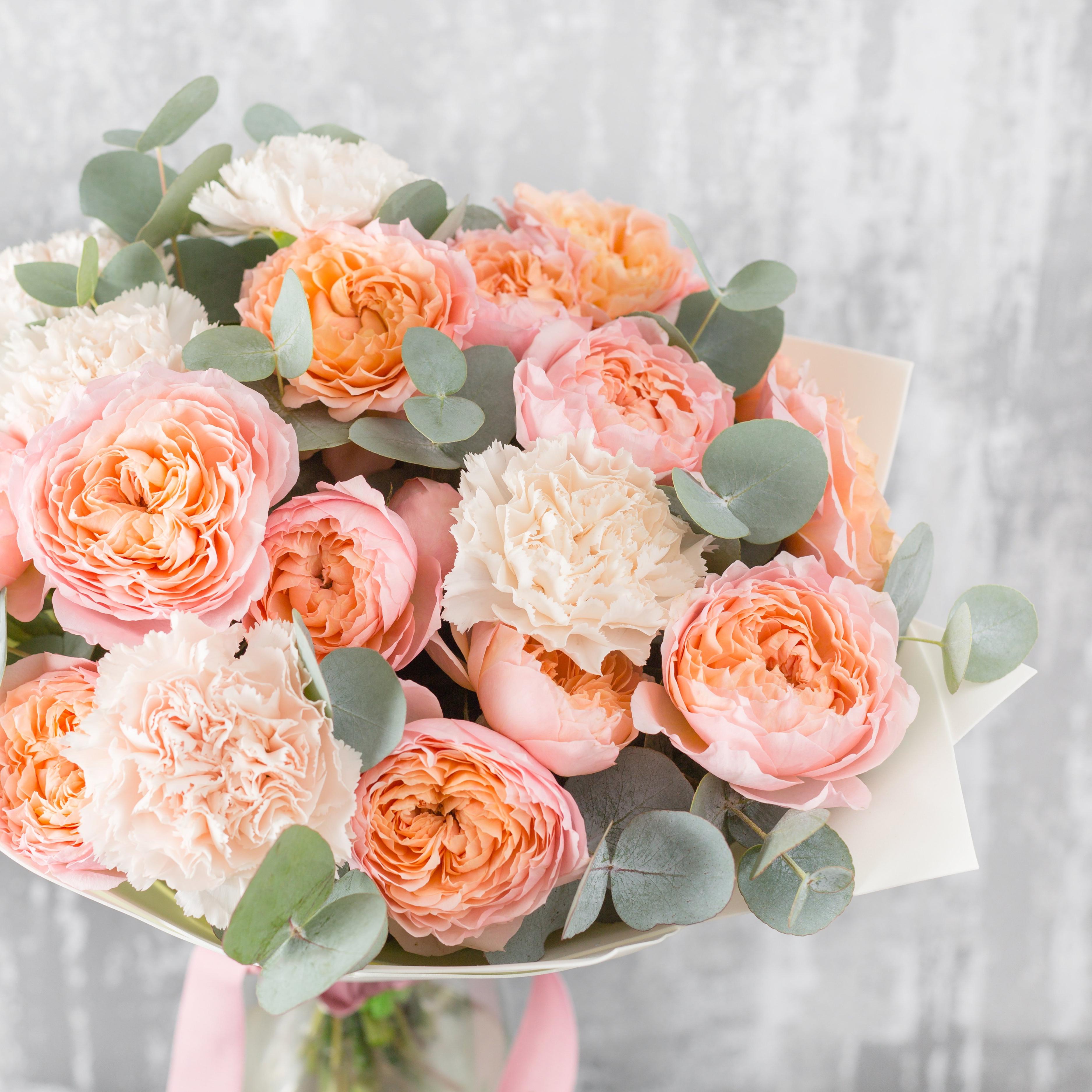 carnation-pastel-peach-flowers