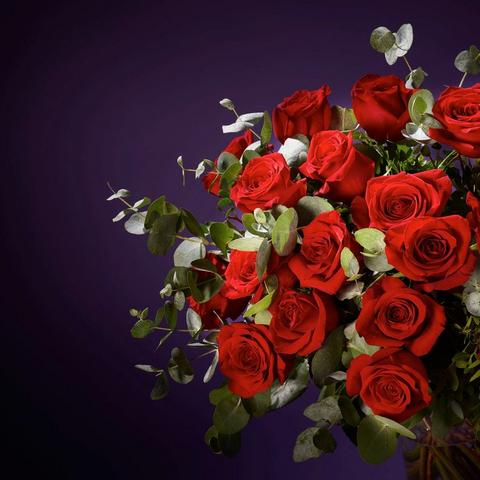 Interflora011024-VCROR2400(BRAND2)