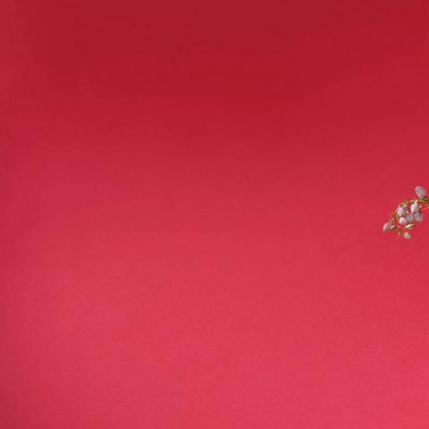 Interflora131223-HTU12T(COLOUR)-header