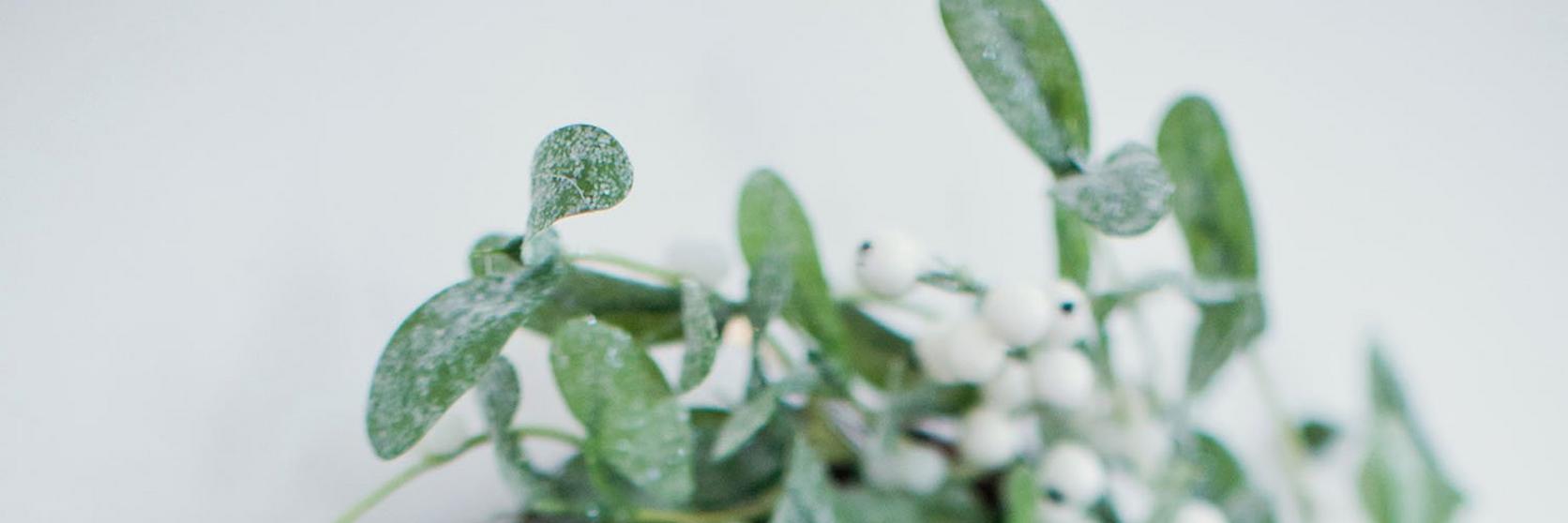 mistletoe-arrangement-ornament