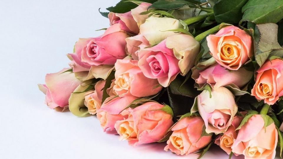 Pink-rose-bunch-1