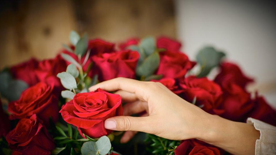 red_rose_content_imagery (57)