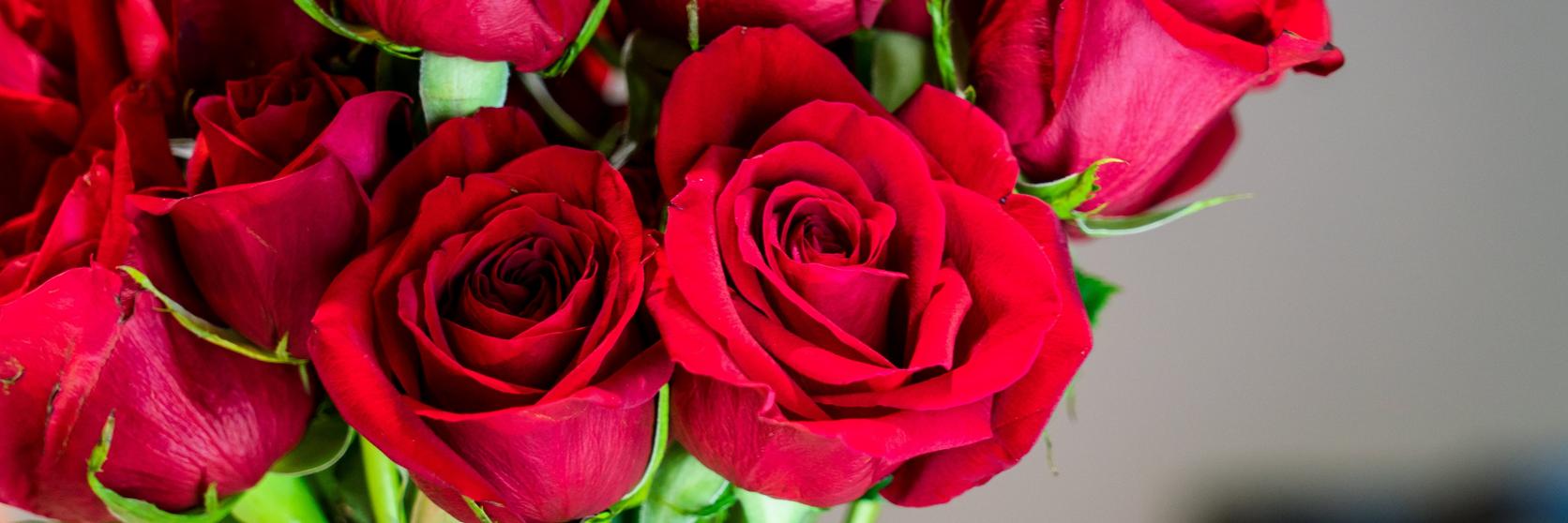 Red_roses_in_vase