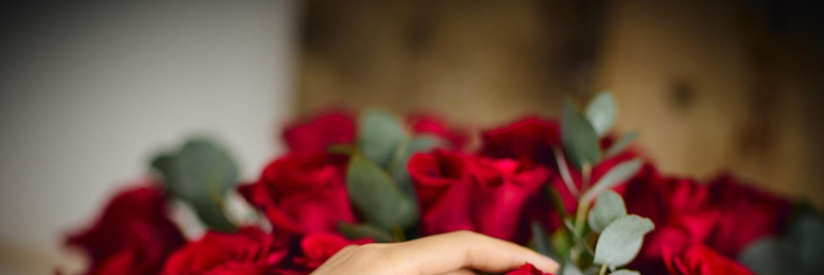 RedRoseContentImageryCOPY