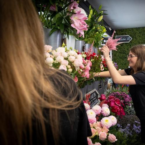 Stephanies_Bourne-88