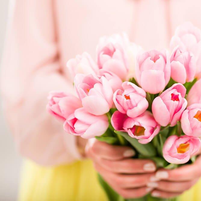 tulips-pale-pink-flowers